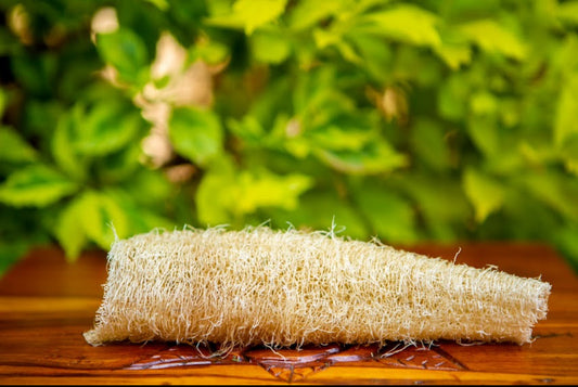 African Body Sponge